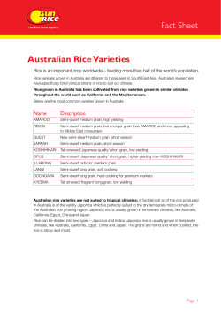 Fact Sheet Australian Rice Varieties