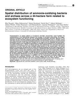 Spatial distribution of ammonia-oxidizing bacteria and