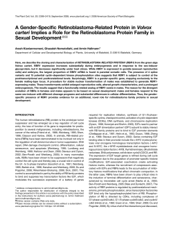 A Gender-Specific Retinoblastoma-Related Protein in Volvox carteri