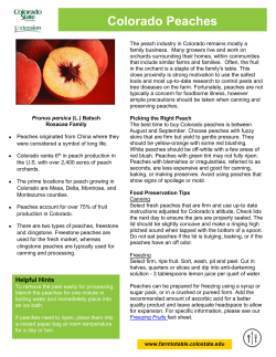 Colorado Peaches - Farm to Table Food Safety