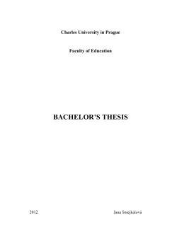 BACHELOR`S THESIS