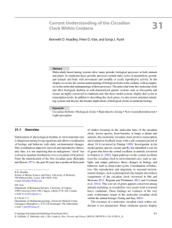Current Understanding of the Circadian Clock Within Cnidaria