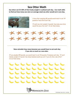Sea Otter Math