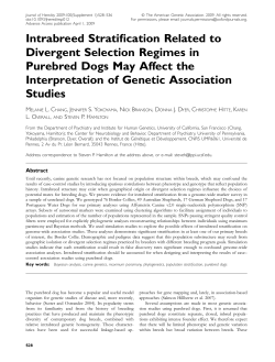 Intrabreed Stratification Related to Divergent Selection Regimes in