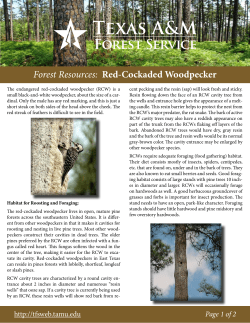 Forest Resources: Red-Cockaded Woodpecker