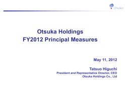 FY2012 Principal Measures (PDF:1352KB)