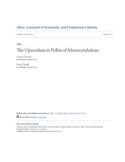 The Operculum in Pollen of Monocotyledons