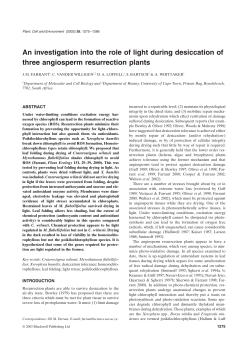 An investigation into the role of light during desiccation of