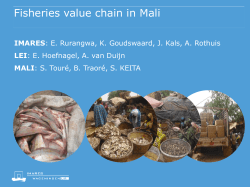 Fisheries value chain in Mali - Wageningen UR E
