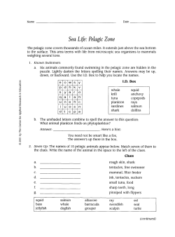 Sea Life: Pelagic Zone