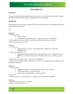 Set up the different plant kingdom stations