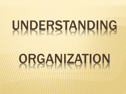 Understanding Organization