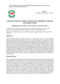 Characterization of MgO Calcined from Mg(OH)2