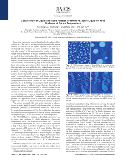 Coexistence of Liquid and Solid Phases of Bmim
