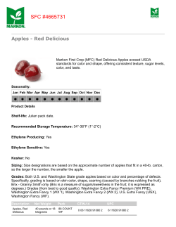 Apples - Red Delicious