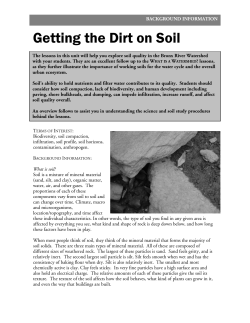 Getting the Dirt on Soil