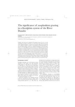 PDF - Oxford Academic - Oxford University Press