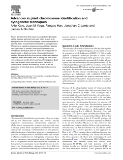 Advances in plant chromosome identification and cytogenetic