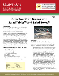 Grow Your Own Greens with Salad Tables and Salad Boxes