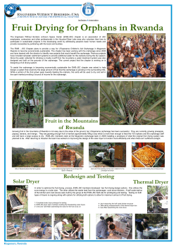Rwanda Innovation Day Poster