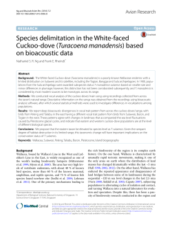 Species delimitation in the White-faced Cuckoo