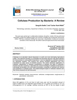Cellulase Production by Bacteria: A Review