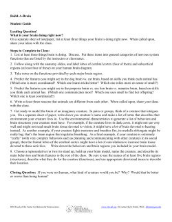 Build-A-Brain Student Guide Leading Question! What is your brain