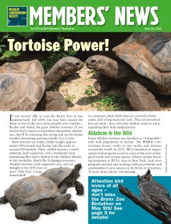Tortoise Power! - Wildlife Conservation Society