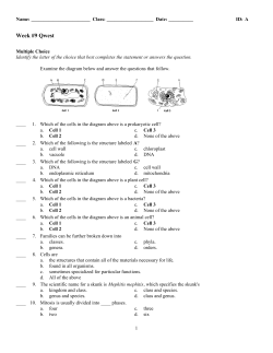 ExamView Pro - Week #9.tst