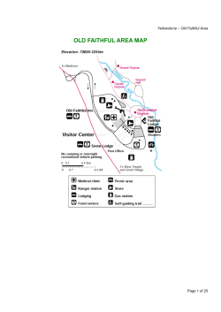 YSNP Old Faithful Area