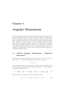 Angular Momentum