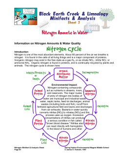 Nitrogen Amounts in Water