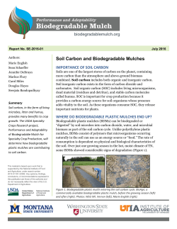 Soil Carbon and Biodegradable Mulches