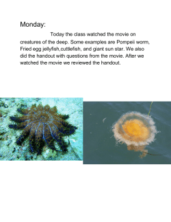 Monday - Tewksbury Township Schools