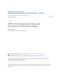 NF93-136 Chemical Spots, Stains and Discoloration of Home
