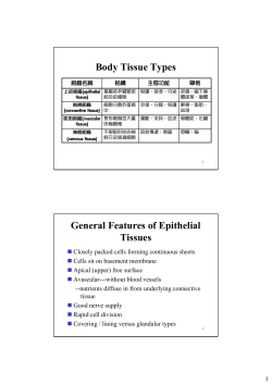Body Tissue Types General Features of Epithelial Tissues