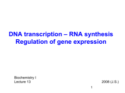 DNA transcription, gene expression