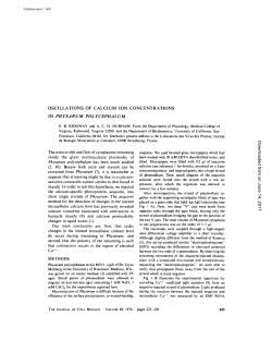 Oscillations of calcium ion concentrations in Physarum polycephalum.