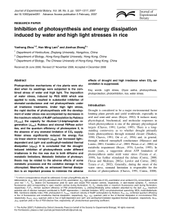 Inhibition of photosynthesis and energy dissipation induced by water