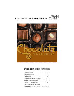 Chocolate Exhibition Brief September 2010