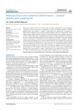 Adipose-tissue and intestinal inflammation &ndash; visceral obesity and