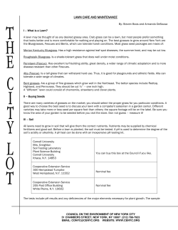 Lawn Care and Maintenance