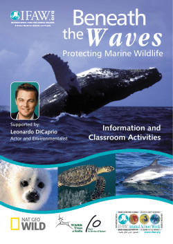 English - International Fund for Animal Welfare