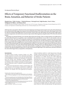 Effects of Temporary Functional Deafferentation on the Brain