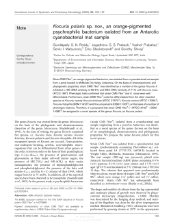 Kocuria polaris sp. nov., an orange