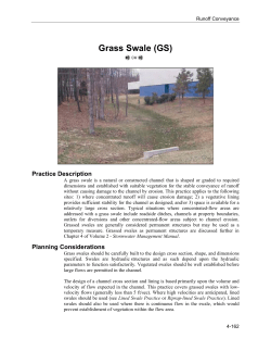 Grass Swale