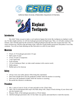 Elephant Toothpaste - California State University, Bakersfield