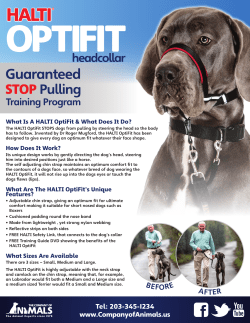 HALT1 - Company of Animals