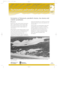 Formation of blowouts, parabolic dunes, low dunes and mobile