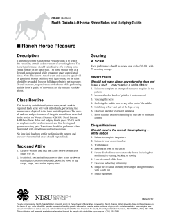 Ranch Horse Pleasure